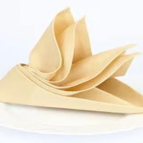 napkin 1